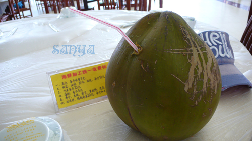 三亚饕餮记7
