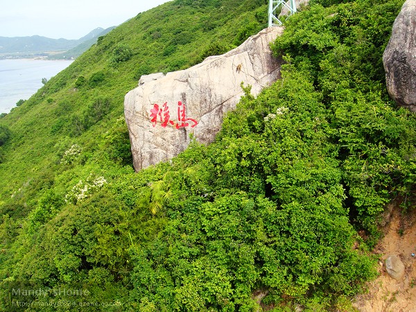 热带迷情——我的三亚游记（第四站：猴岛）7