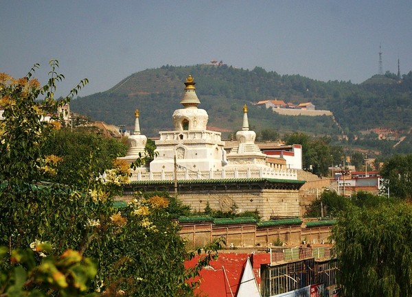 2012西宁旅游攻略 心中的“塔尔寺”（组图）25