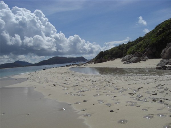 三亚海上花旅馆“海客海影”-----最佳海怪奖14