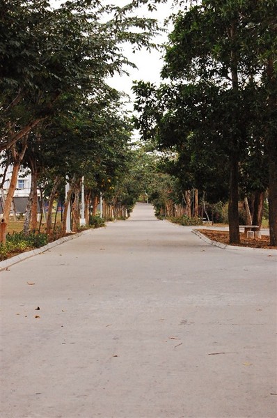 我的大学——三亚学院1