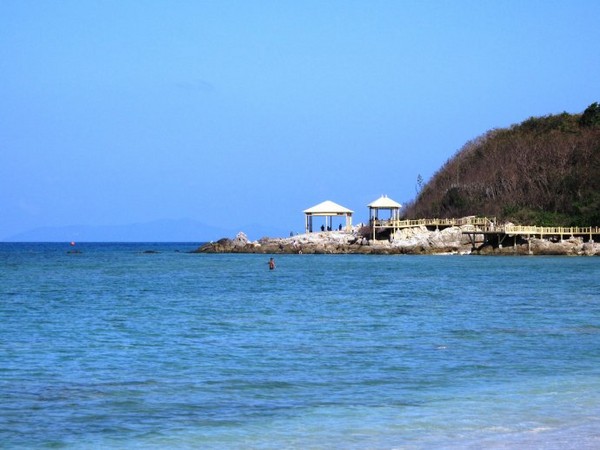 海南大热11