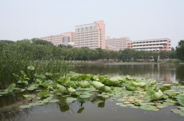 巍巍学府北洋高-11