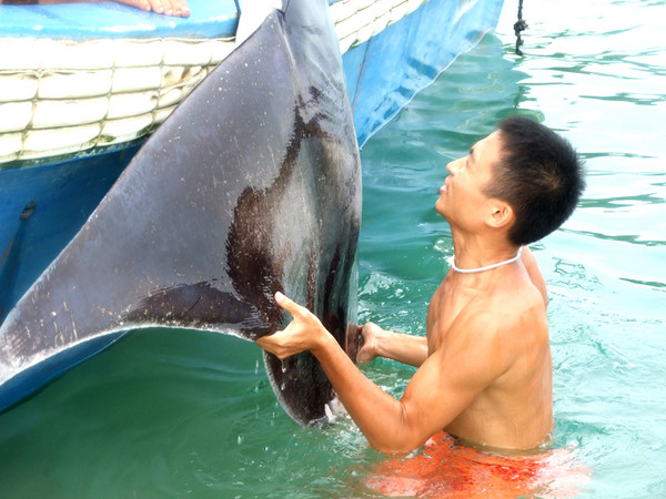 三亚海上花旅馆“海客海影”-----最佳海怪奖13