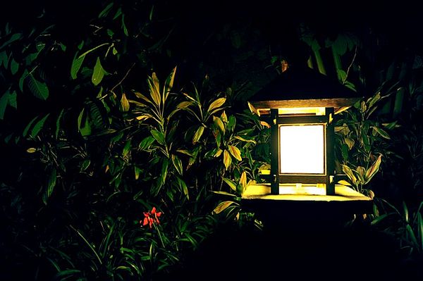 三亚腐败游4