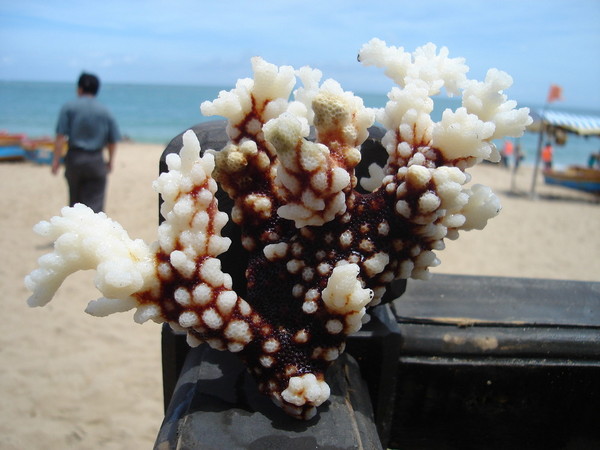 碧海蓝天三亚游5
