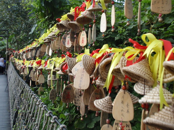 海南三亚，11月，还是那么温暖如夏8