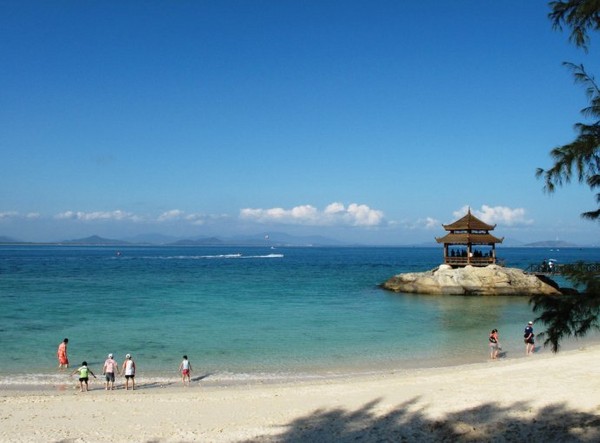 海南大热12
