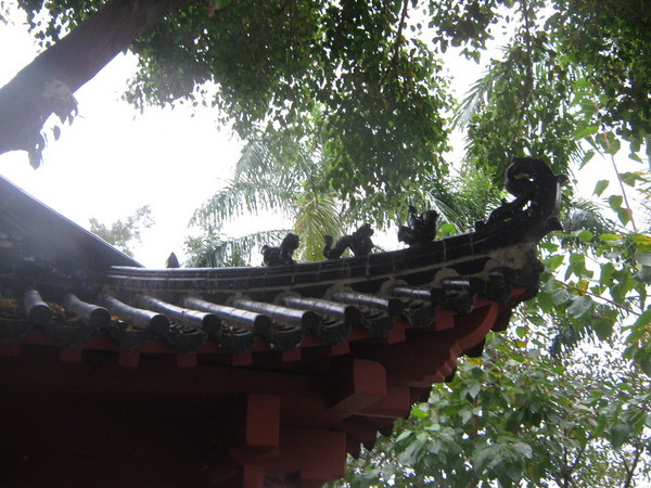 没有海角，只有天涯24