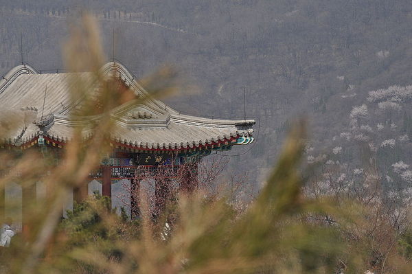 香山1
