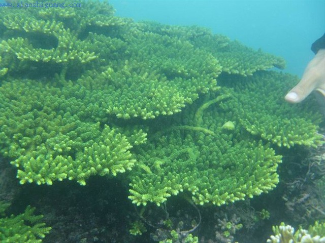 三亚户外潜水一日游—海上娱乐11