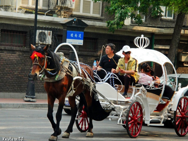 我们的毕业小旅行·天津41