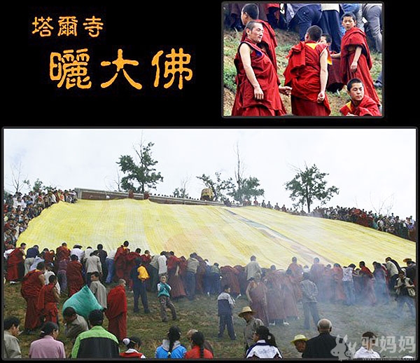 塔尔 寺游玩指南：塔尔 寺四大法会1