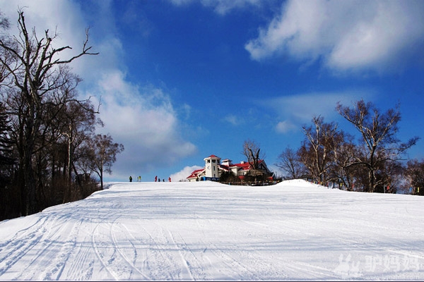 哈尔滨雪场推荐：亚布力滑雪场　让速度与激情碰撞7