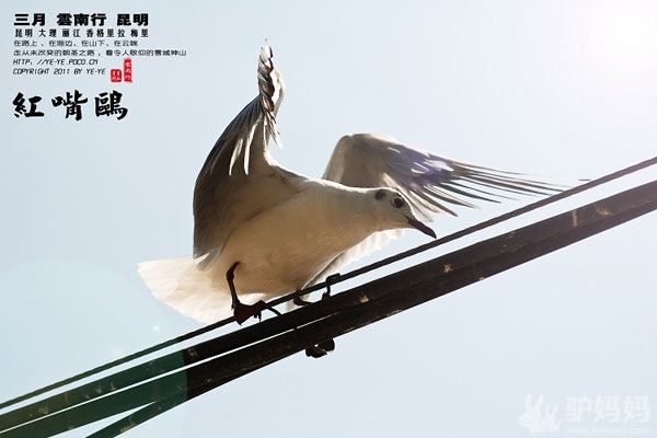 昆明娱乐3