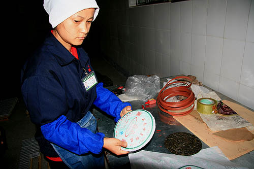 西双版纳 普洱茶山17
