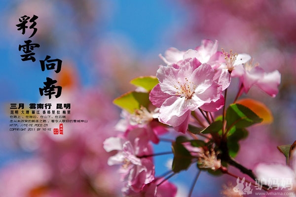 昆明娱乐2