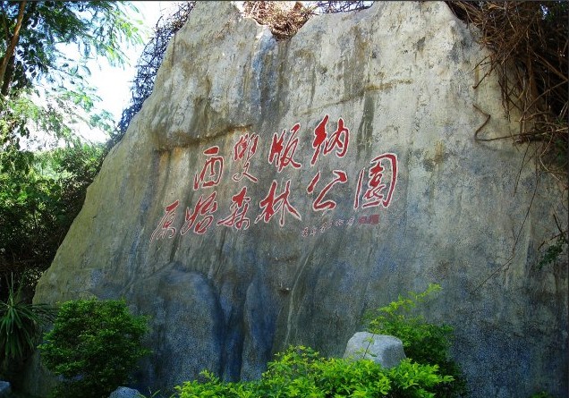 西双版纳原始森林公园游记1