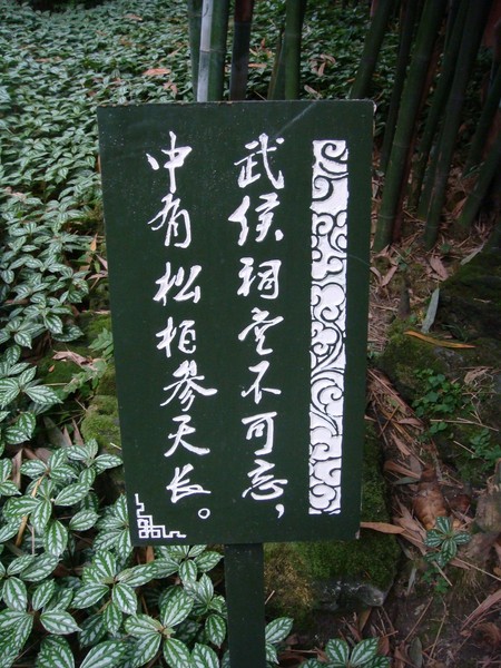 2010黄金周——武侯祠&锦里5