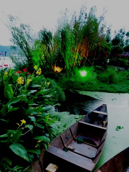 草海余辉5