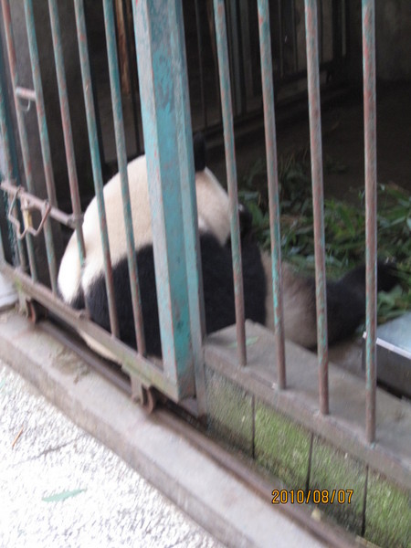 成都耍哈子撒~~22