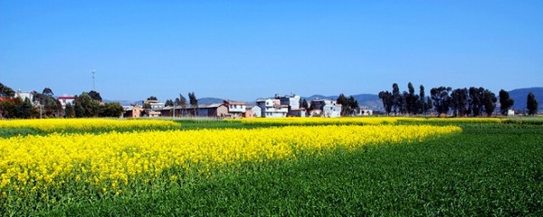 春城·抚仙湖1