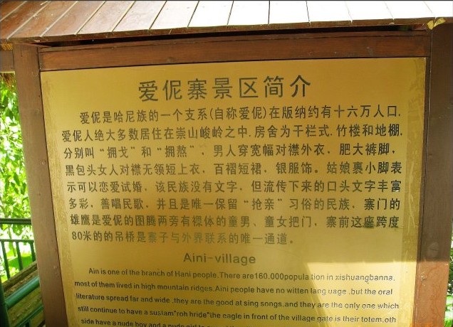 西双版纳原始森林公园游记7