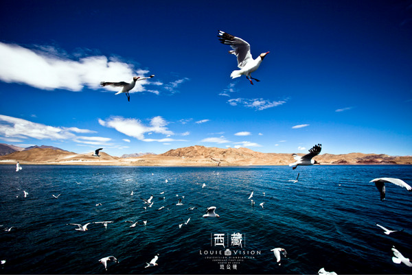 【西藏旅行38天】Produce By 柳先生&吴小妞 — 2012 SUMMER46