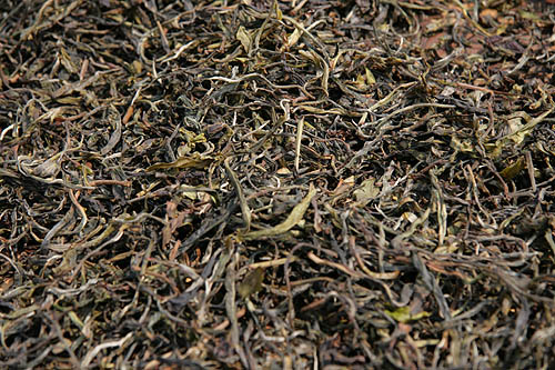 西双版纳 普洱茶山6