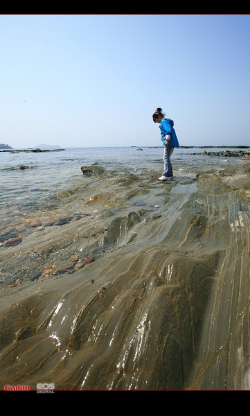 2009年51看海3--滨海路贝壳博物馆至付家庄徒步 -14