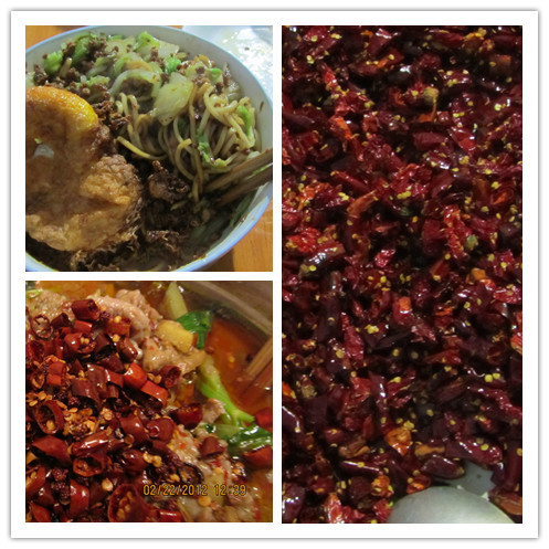去成都必去的地方 成都不能错过的美食 成都夏季游玩攻略3