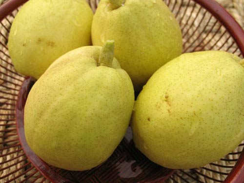 吐鲁番购物：葡萄水果最美味 小刀花帽做工精(组图)1