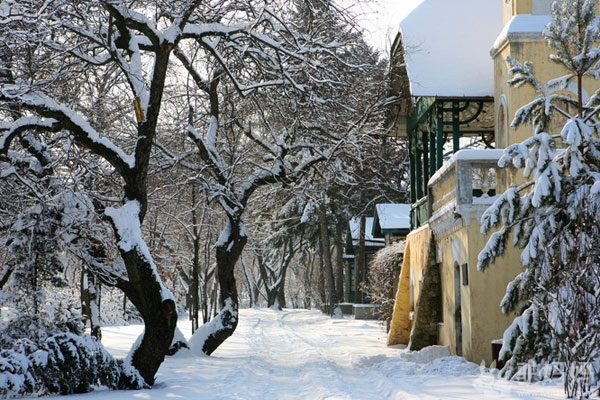 太阳岛雪雕博览会　哈尔滨独一无二的美丽风景线8