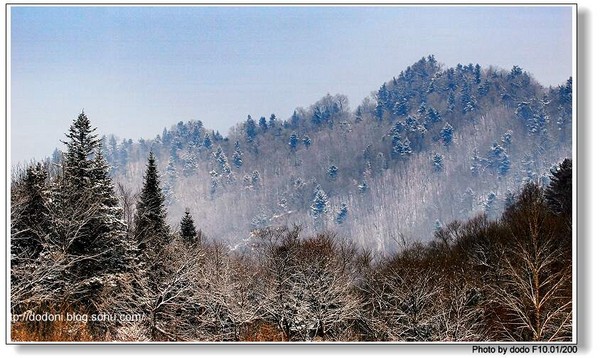 冬季恋歌--雪树银花的东北12