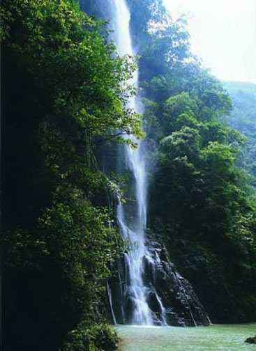 “渝黔生物基因库”——黑山谷(图)1