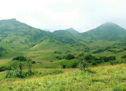 生态旅游胜地：红池坝森林公园1