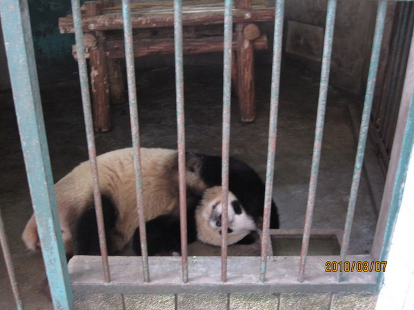 成都耍哈子撒~~23