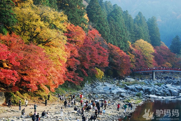 日本旅游景点赏析：暴走在那些传说中的街区里14