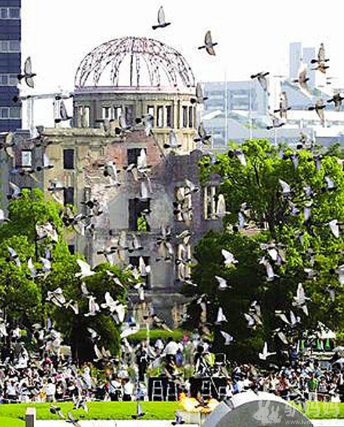 日本旅游景点赏析：暴走在那些传说中的街区里28
