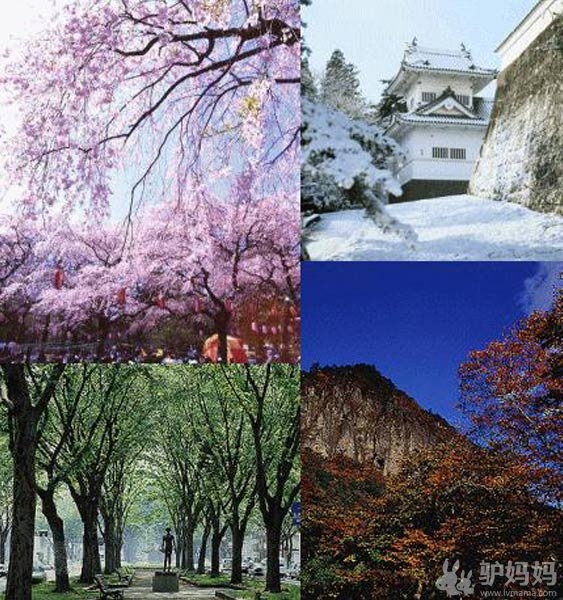 日本旅游景点赏析：暴走在那些传说中的街区里27