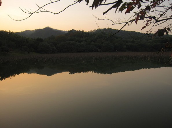  番禺大夫山 大夫山交通 大夫山森林公园 大夫山门票1