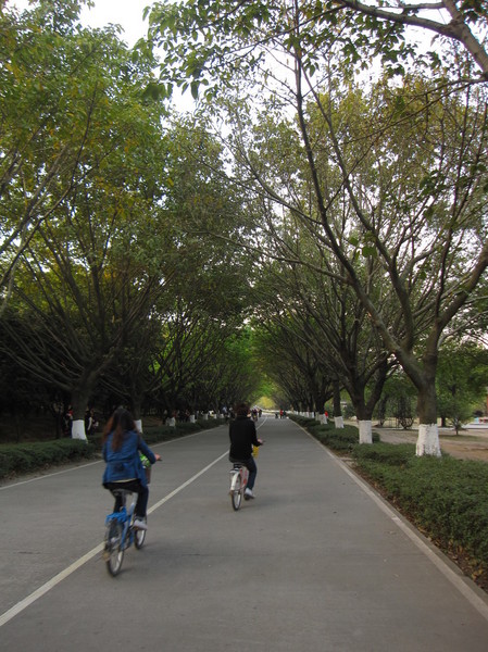  番禺大夫山 大夫山交通 大夫山森林公园 大夫山门票2