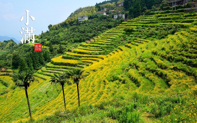 2015年小满时间1