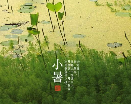 2015年小暑节气是哪一天