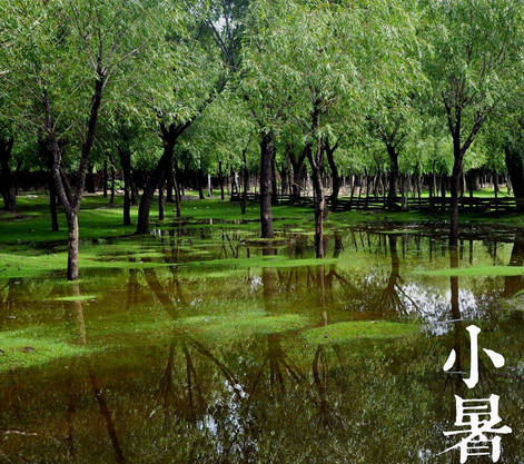 小暑诗词