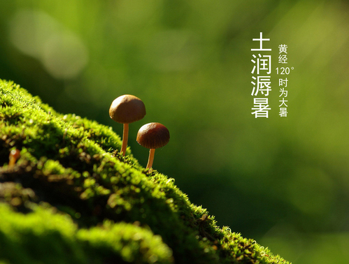 大暑祝福短信
