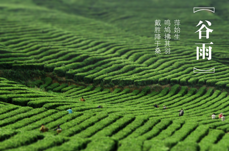 谷雨的习俗1