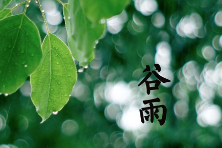 2016年谷雨节气是几月几日