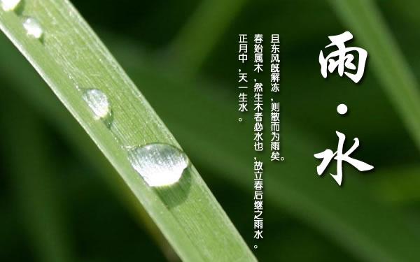 雨水节气穿什么