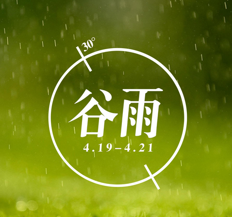 谷雨时开什么花